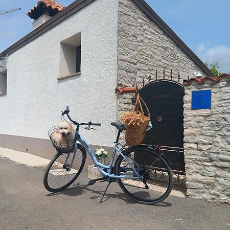 Authentic Istria&Pet Friendly Apartment Banko Near Rovinj Kanfanar Exterior foto