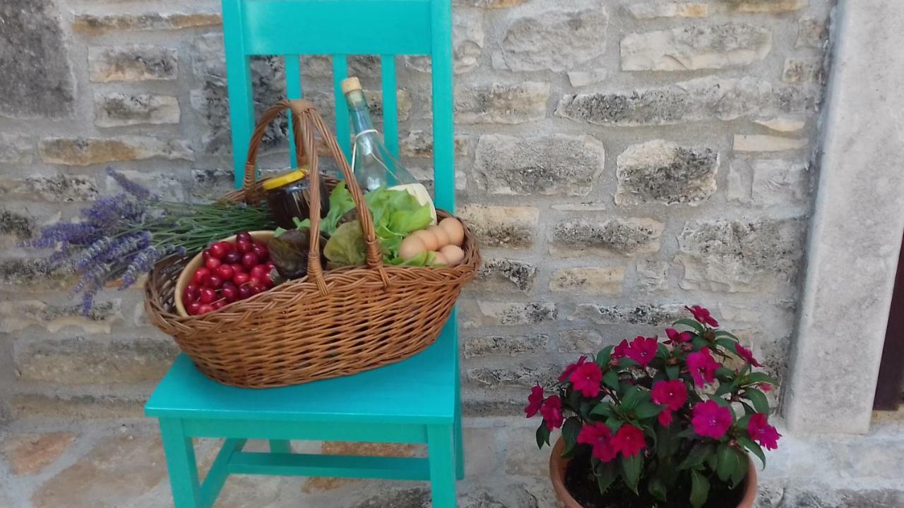 Authentic Istria&Pet Friendly Apartment Banko Near Rovinj Kanfanar Exterior foto